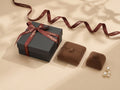 Premium Packaging Brown