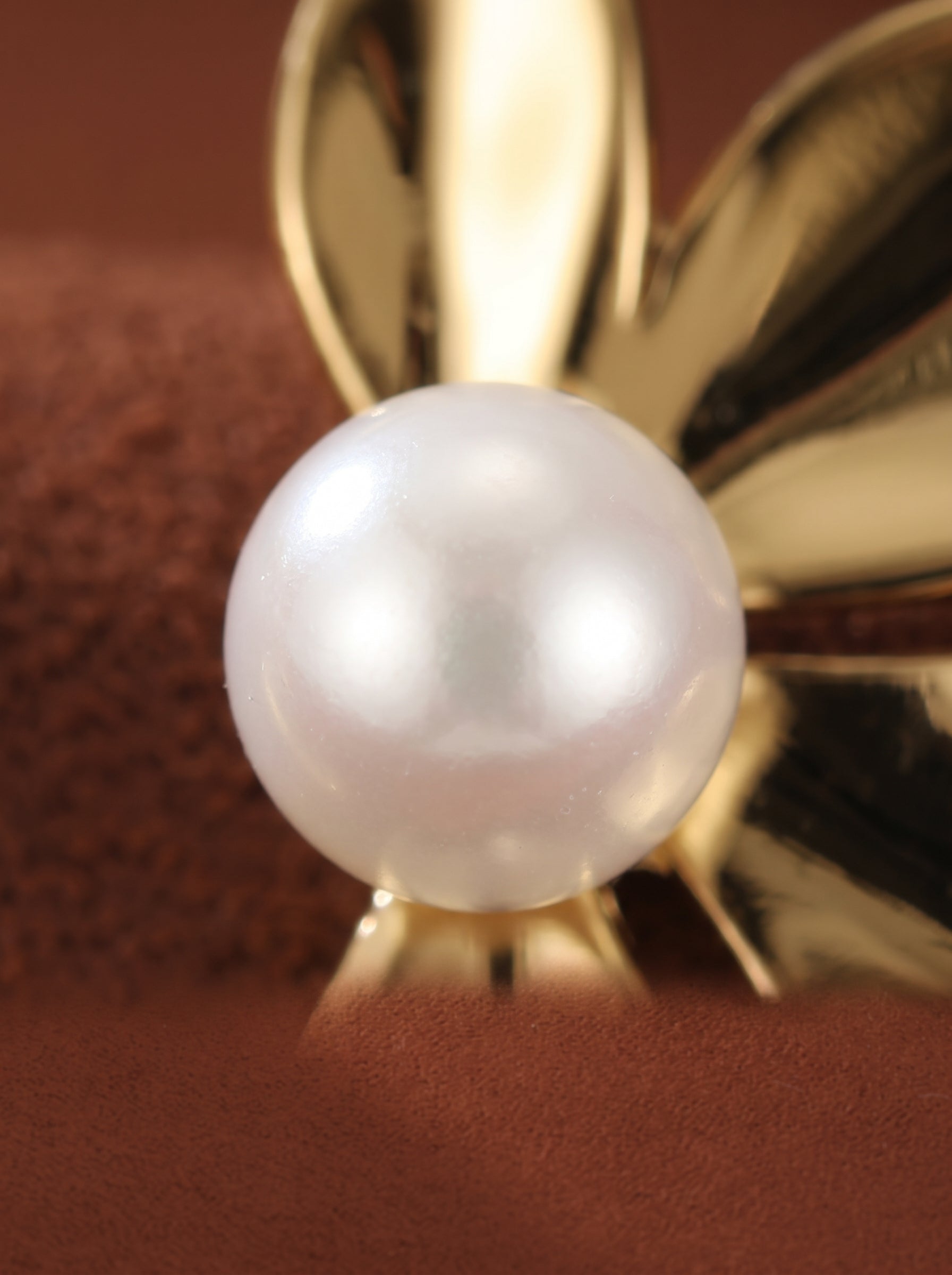 Gros plan d'une boucle d'oreille puce florale Sprout en perle d'eau douce présentant une lustrée perle blanche ronde de 5 mm en son centre, entourée de pétales polis ton or. @pearl